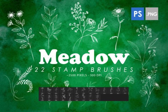 Meadow Stamp Brushes: High-Resolution Creative Tools for Designers