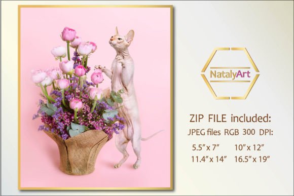 Sphynx Cat Looks at a Bouquet of Flowers